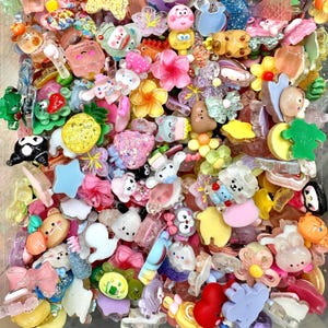 Huge selection Bulk Assorted Flatback Resin Charms