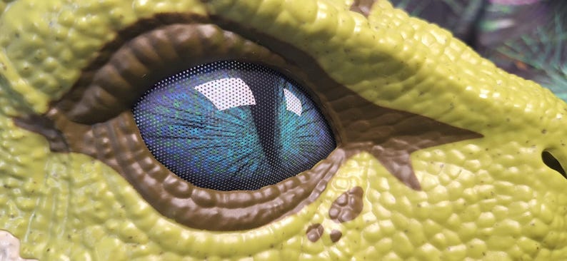 Puede incluir: Primer plano de un ojo de reptil con iris azul y negro. El ojo est&aacute; en una piel texturizada, amarillo-verdosa con acentos marrones. El ojo tiene un patr&oacute;n similar a una malla.
