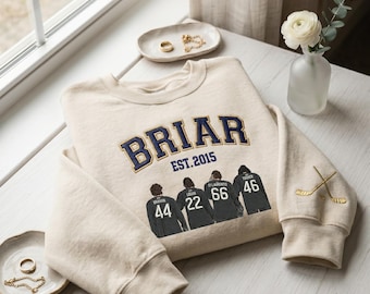Briar Hockey Romance Embroidered Sweatshirt, Briar University Inspired Crewneck, Off Campus Bookish Sweatshirt, Hockey Romance Fan Gift