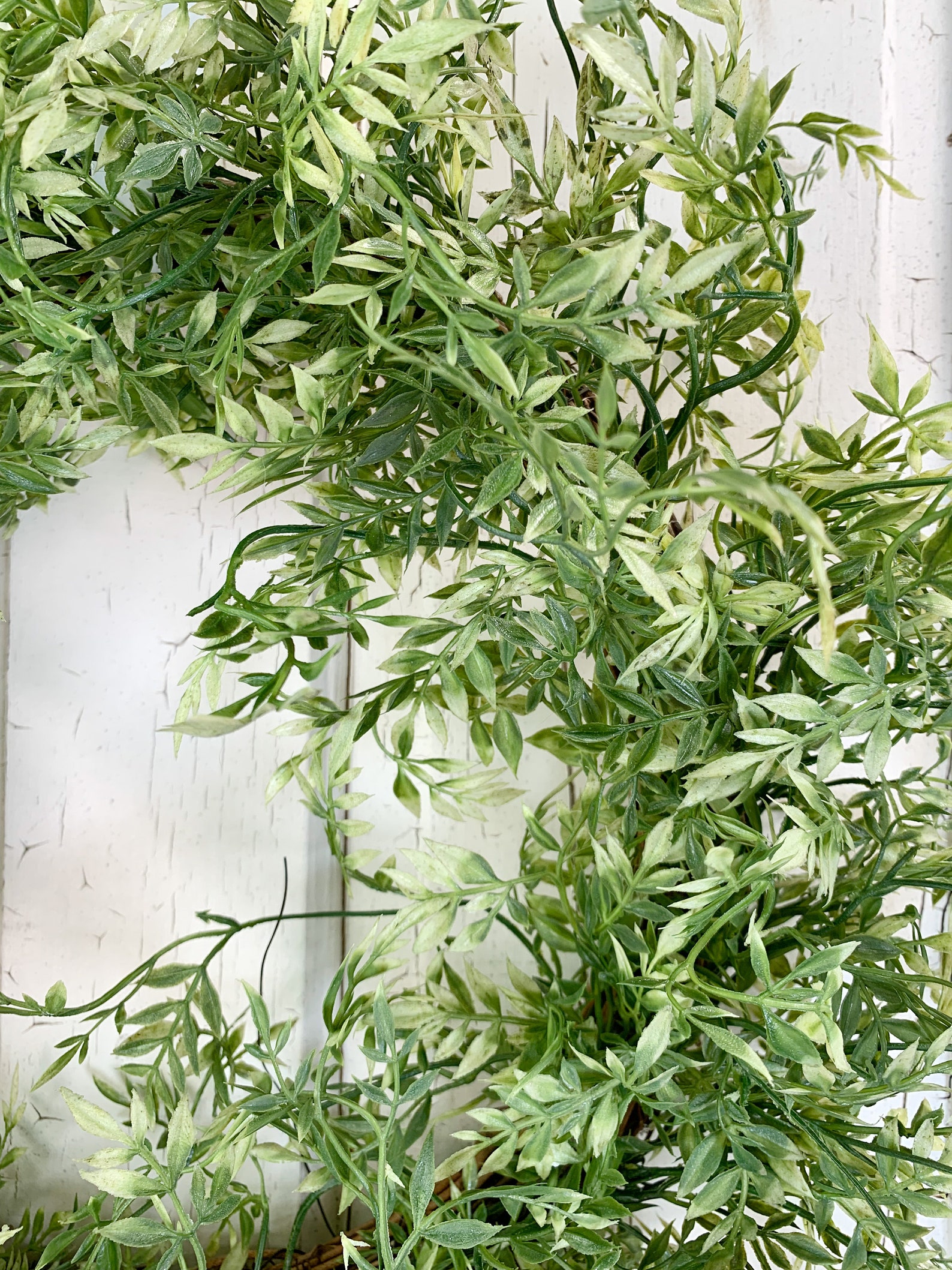 Picture of 24 Greenhouse Room Ideas to Bring Nature Indoors Year-Round