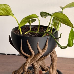 Può includere: Un vaso nero a forma di ciotola contenente una pianta dalle foglie verdi, sostenuto da una base marrone testurizzata a forma di radici d'albero. La base poggia su un vassoio circolare nero riempito di piccoli ciottoli di fiume lisci e multicolori.