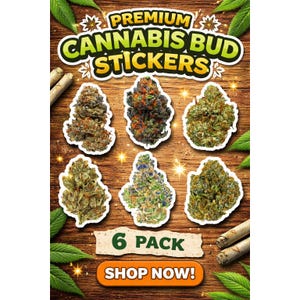 Può includere: Immagine promozionale per adesivi di gemme di cannabis. L'immagine presenta sei diversi adesivi di gemme di cannabis con un bordo bianco, disposti su uno sfondo di legno. Il testo "PREMIUM CANNABIS BUD STICKERS" è in alto e "6 PACK SHOP NOW!" in basso.