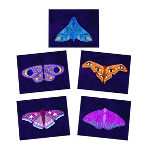 Lot de 5 cartes de vœux pour papillons de nuit, ornées d'insectes, vierges à l'intérieur de toutes les occasions, cadeau de papeterie, cadeau pour amoureux de la nature, carte de haute qualité pour un ami