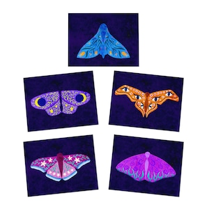 Lot de 5 cartes de voeux Art papillon de nuit, insecte fleuri, cartes de correspondance vierges à l'intérieur de toutes les occasions, cadeau de papeterie, amoureux de la nature