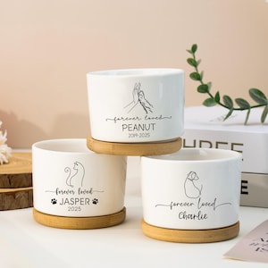 Custom Pet Loss Plant Pot, Dog Memorial Planter, Personalized Cat Name Flower Pot, Loss of Pet Gift, Pet Memorial Gift, Mini Pot for Dog Mom