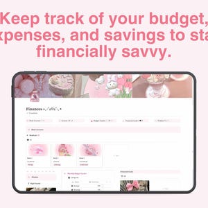 Notion Finances, Bank Accounts, Income, Notion Budget Tracker, Financial Goals, Wishlist