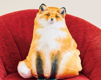 Fox racoons cushion cute kawaii Japan home decor wild animals lover
