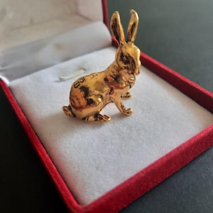 Könnte beinhalten: Eine kleine, goldfarbene Metallhasenfigur mit aufrechten Ohren und in sitzender Haltung. Der Hase hat eine strukturierte Oberfläche mit sichtbaren Markierungen an der Seite und befindet sich in einer rechteckigen Schachtel mit rotem Rand.