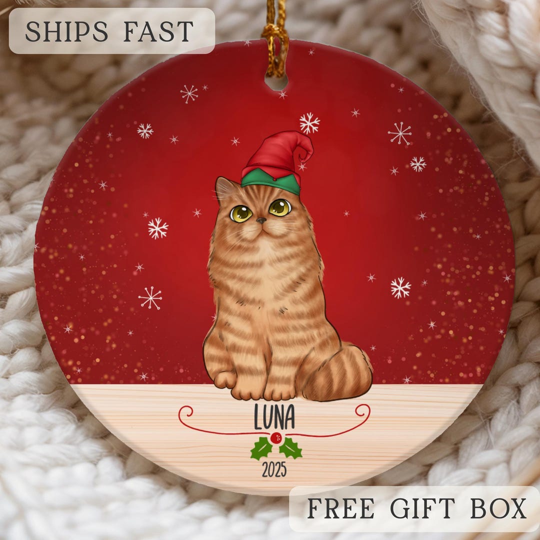 Custom Cat Ornament, Personalized Cat Christmas Ornament Gifts for Cat ...