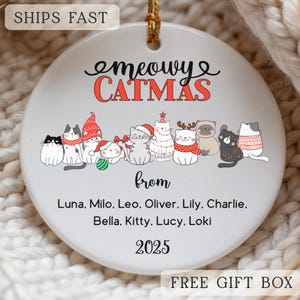 Custom Cat Ornament From Cat Personalized Cat Christmas Ornament Gifts for Cat Mom Custom  Christmas Ornament for Cat Dad Cat Lover Keepsake