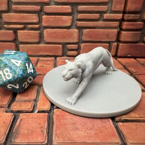 Può includere: Una statuina grigia di un puma in posa di caccia, montata su un disco grigio. Un dado a più facce con marmorizzazione blu e verde è accanto alla statuina. Lo sfondo è un muro di mattoni.
