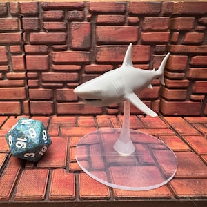 May include: A gray shark figurine on a clear stand, with a multi-sided die in the foreground. The shark has detailed fins and a realistic design. The die is teal and blue with white numbers.