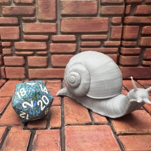 May include: A gray snail figurine next to a multi-sided die with blue and green floral patterns and white numbers. The snail has a detailed shell and is on a brick-like surface. The die shows the number 20.