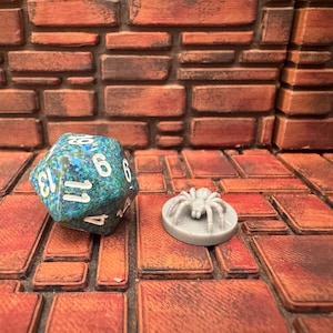May include: A multi-sided, blue and green speckled die with white numbers, next to a small, gray spider token. The items are on a brick-like surface, suggesting a tabletop game setting.