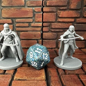 May include: Two gray miniature figurines of fantasy characters, one hooded and masked, the other with flowing hair, each holding a sword. A large, speckled blue and green twenty-sided die sits between them. The figures are on round bases.