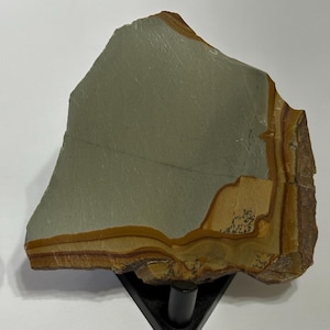 Wild Horse Picture Jasper