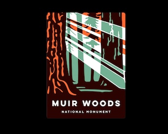 Muir Woods Sun Rays Sticker