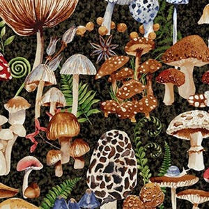 May include: A detailed illustration of various mushrooms in shades of brown, white, and red against a dark green background. The image features a variety of mushroom types, including those with spotted caps and others with smooth surfaces, creating a whimsical forest theme.
