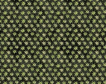 Autumn Fabric- Ghoul Friends Stars Riley Blake C16055 Black - Yardage
