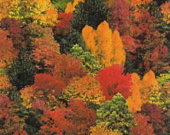 Fall Fabric-Landscape Medley by Elizabeth's Studio 309 Multi-Yardage