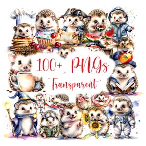 Oltre 100 graziosi ricci acquerellati, clipart di alta qualità, per uso commerciale, simpatici animali, creazioni artigianali, biglietti, poster, materiale stampabile, ecc.