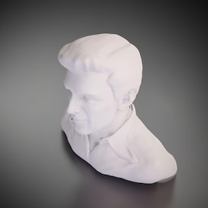 Elvis Presley - 3D Printed Model | Custom Size & Color | LED Option | Pendant or Large Decor
