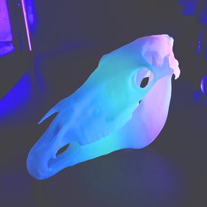 Real size 1:1, Glow in the dark, high quality 3D printed Horse Skull in different colors and materials