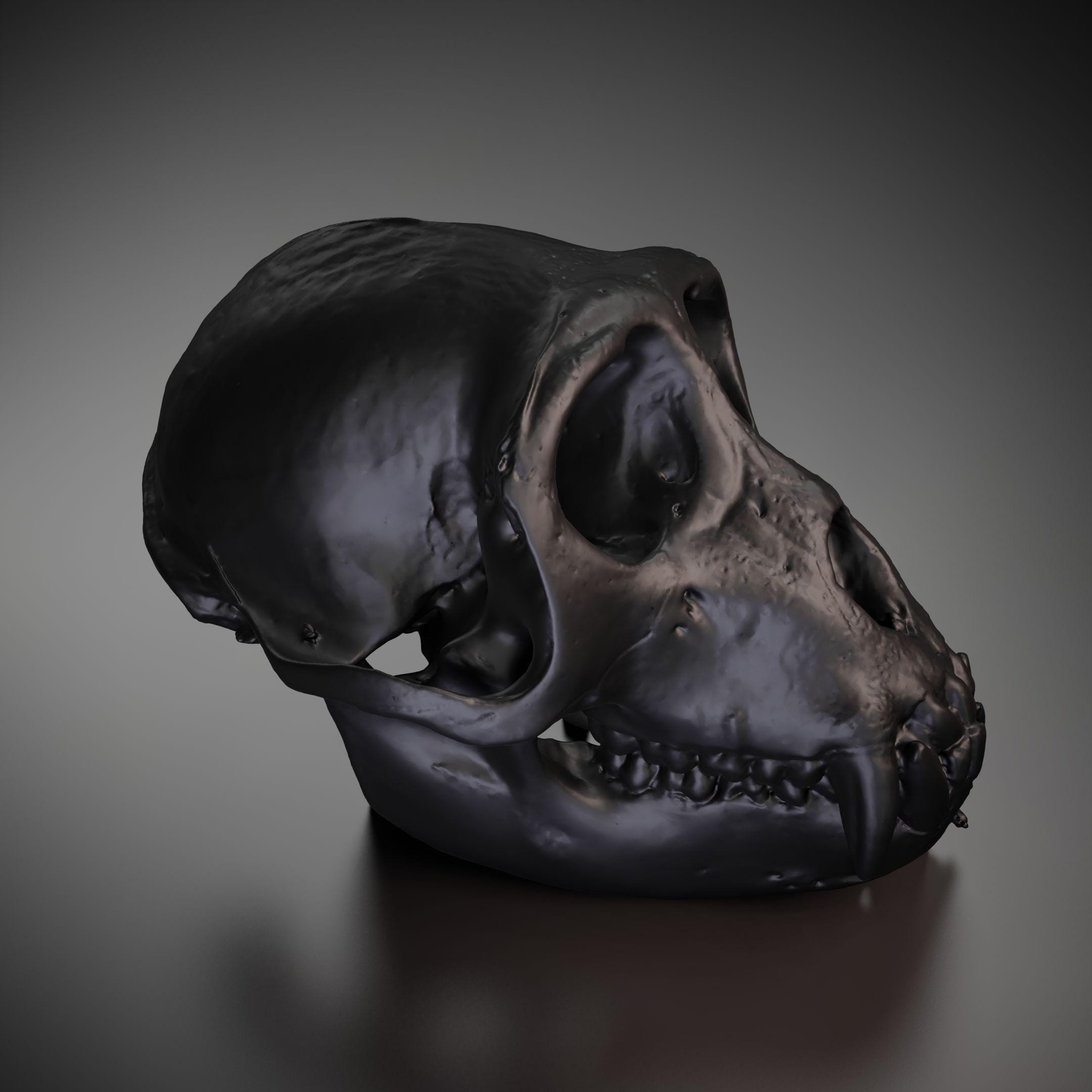 猿の頭蓋骨 - 3D プリントモデル |カスタムサイズとカラー | LED