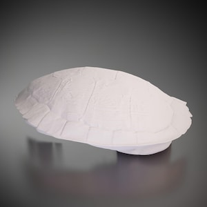 Turtle Shell - 3D Printed Model | Custom Size & Color | LED Option | Pendant or Large Decor