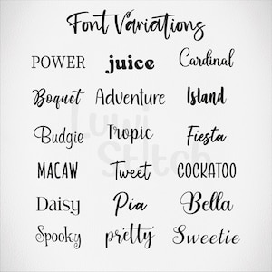 May include: A white background displays the words "Font Variations" in a cursive font. Below, various words are written in different fonts, including "POWER," "juice," "Cardinal," "Boquet," "Adventure," and "Island."