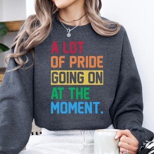 A Lot of Pride LGBT Shirt Gift for LGBTQ+ Community Pride Month Shirt Pride T-Shirt LGBT Shirt Gay Pride Shirt