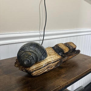 Medium Driftwood Sculpture