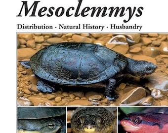 Tortugas con cabeza de sapo del género Mesoclemmys. Distribución, Historia Natural, Crianza.