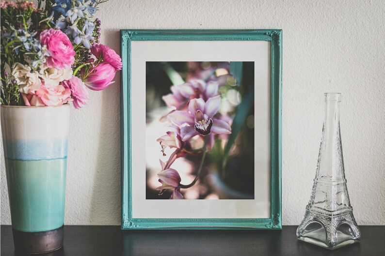 Orchid Flower Wall Art Flower Photography for Home Decor Etsy