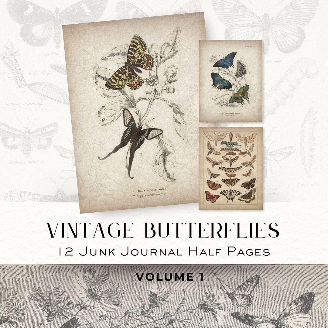 Vintage Butterfly Volume 1 – 12 Junk Journal Half Pages Printable Pages ...