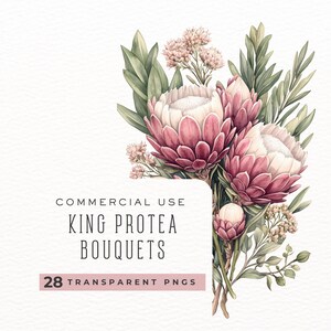 Rei Protea Aquarela Clipart, Flor Clipart, Download Instantâneo, Flor Protea Png Convite de casamento clipart DDC0014