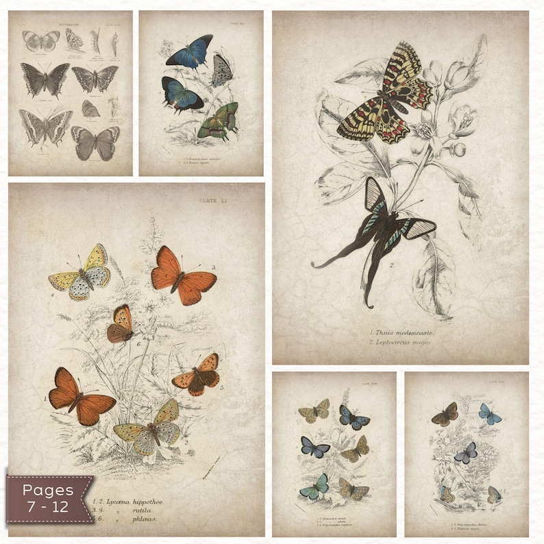 Vintage Butterfly Volume 1 – 12 Junk Journal Half Pages Printable Pages ...