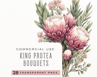 King Protea Watercolor Clipart, Flower Clipart, Instant Download, Protea Flower Png Wedding invitation clipart  DDC0014