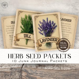 Sachets de graines d'herbes aromatiques pour journaux indésirables - sachets de graines vintage, éphémères botaniques, étiquettes imprimables, kit de journal indésirable du jardin DDJJ035R