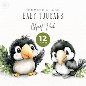 Clipart aquarelle de petits toucans, bébés animaux, décoration de chambre d'enfant dans la jungle, Shower de bébé PNG, DDC0013