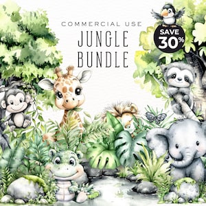 Aquarell Jungle Bundle Clipart, PNG, perfekt für digitales Scrapbooking und Einladungen DDC006D