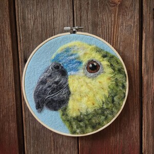 Needle Felted Parrot Wall Art