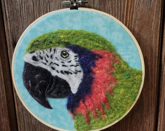 Needle Felted Parrot Wall Art