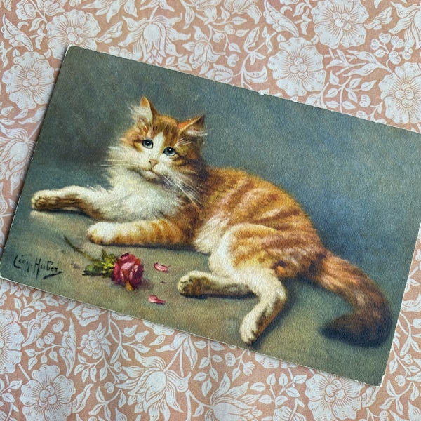 Antique Cat Postcard Etsy