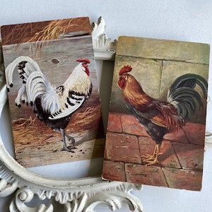 lot de cartes postales vintage de poulet, cartes postales lithographiques anciennes de coq, lot de cartes postales anciennes de poulet / coq des années 1910, cartes postales anciennes de la vie à la campagne