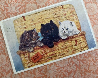 Antique cat litho postcard, Edwardian kittens in basket litho postcard, Vintage Persian kittens postcard, Antique Mabel Gear cats postcard