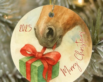 Personalized Horse Ornament 2025, Custom Ceramic Christmas Decoration