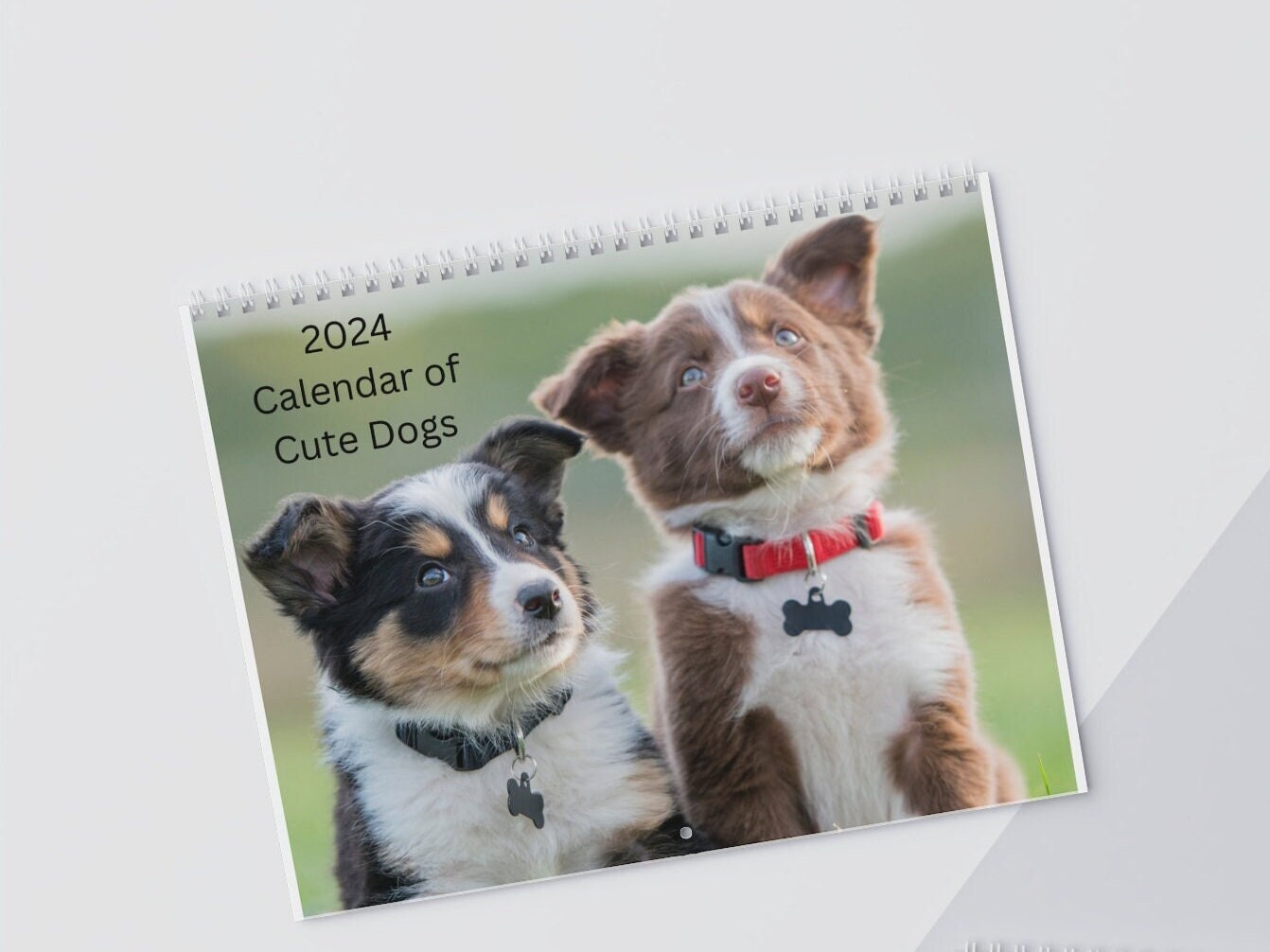 Dogs Wall Calendar, 2024 Calendar of Dogs, Cute Dogs Twelve Month