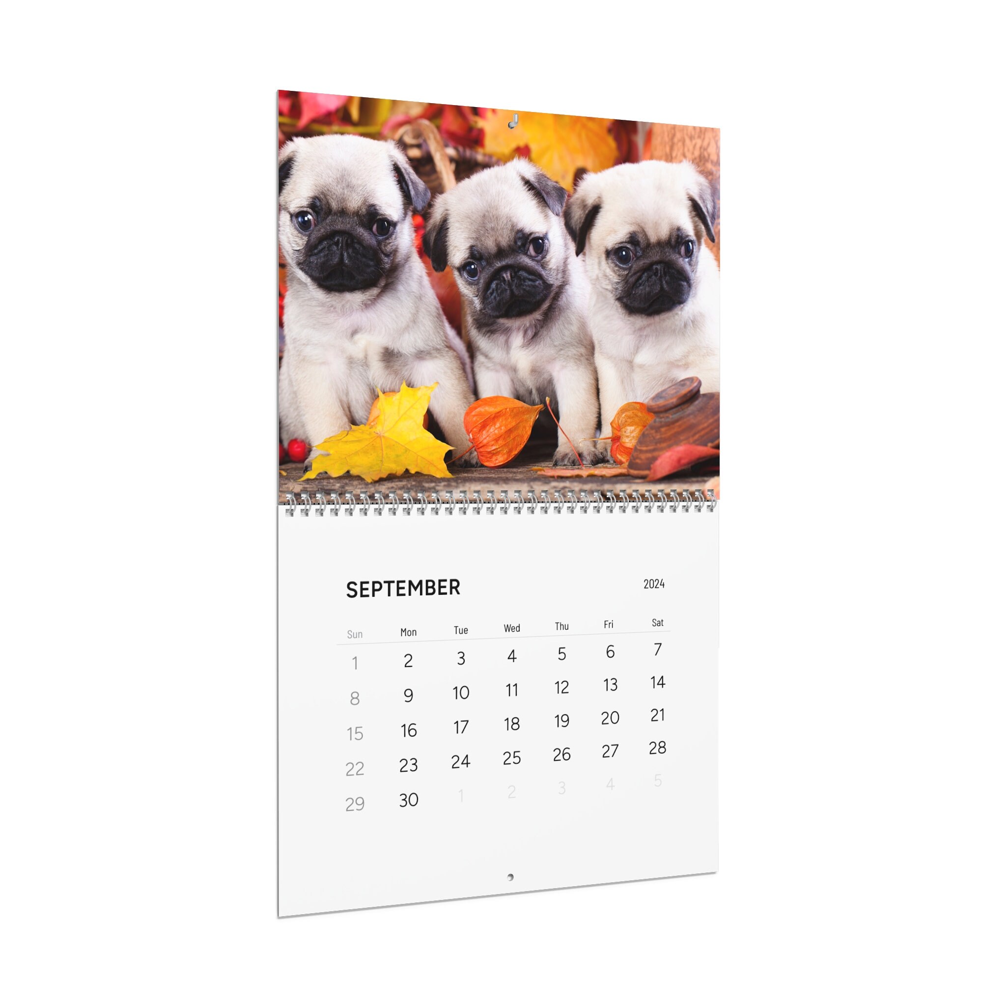 Dogs Wall Calendar, 2024 Calendar of Dogs, Cute Dogs Twelve Month