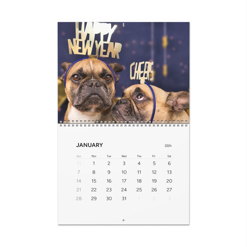 Dogs Wall Calendar, 2024 Calendar of Dogs, Cute Dogs Twelve Month